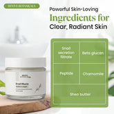 Jar of Snail Mucin Radiance Cream for hydrating and brightening skin with snail mucin and hyaluronic acid